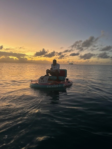 Guided eco-tour through the islands lush mangrove ecosystem
