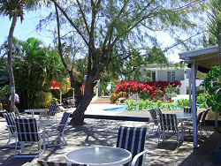 Trade Winds Hotel, Antigua Hotels: Outdoor Dining area surrounded by trees and flowers