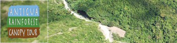 Antigua Rainforest Canopy Tour- Antigua tours and excursions logo