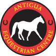 Antigua Equestrian Centre - Springhill Riding Club 