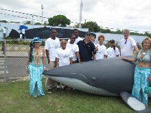 Wyland Wall, Antigua Special Projects: Wyland and group starting work on the marine mural