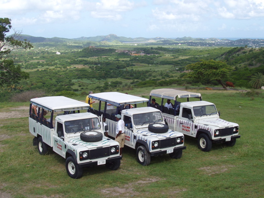 Island Safari Gallery