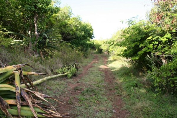 G4. The path has a gentle incline which acts as a good warm up. See the collapsed Agarve cactus to t