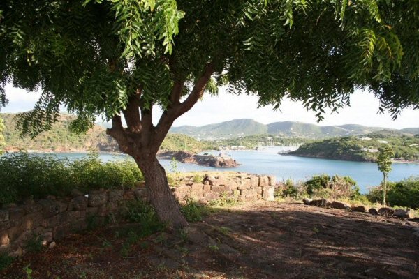 G6. a neem tree offers some much needed shade, and acts a great stopping point to take photographs o