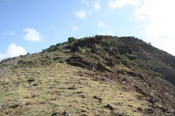 G24. The path now turns uphill and a steep climb on rough ground keeps you focussed. There is usuall